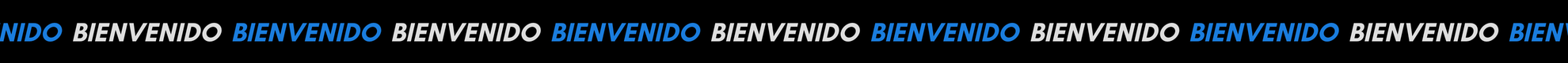 Bienvenido Mini Banner